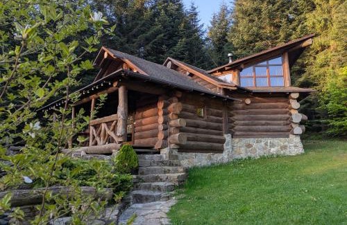 Skhidnytsya Ski Chalet | Forest House exclusive