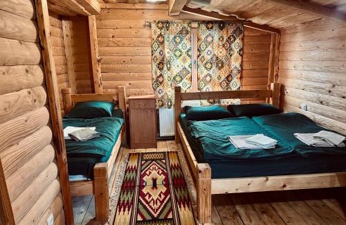 Yasinya House | Forest House