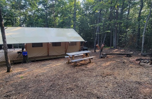 Lenoir RV Rental | Forest is for rest, Quiet and private location in the mountains Forrest Cump.
