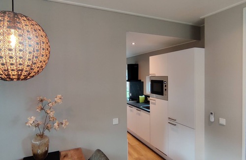 Municipality of Hellendoorn Ski Chalet | Forest Lodge 111 + Hot tub Het Groene Hert