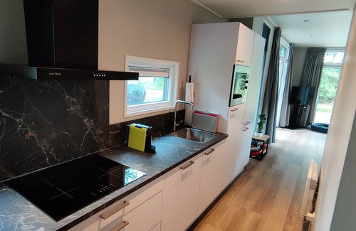 Municipality of Hellendoorn Ski Chalet | Forest Lodge 111+ Hot tub The Green Deer