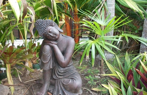Captain Creek Apartment | Forest Lodge - Bali Style Retreat