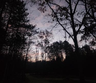 Clearview Other | Forest Oasis Camping Resort