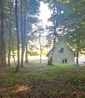 Donja Brezna House | Forest Panorama Cabin Brezna