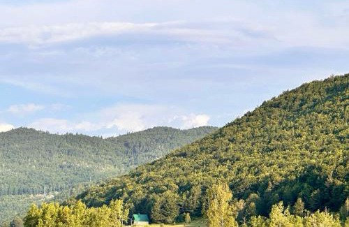 Donja Brezna House | Forest Panorama Cabin Brezna