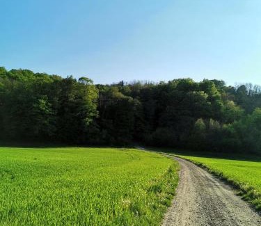 Koprivnica House | Forest paradise