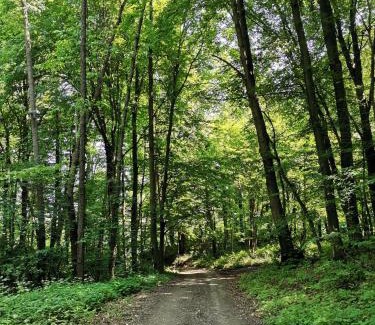 Koprivnica House | Forest paradise
