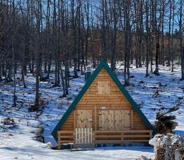 Pluzine Ski Chalet | Forest rest