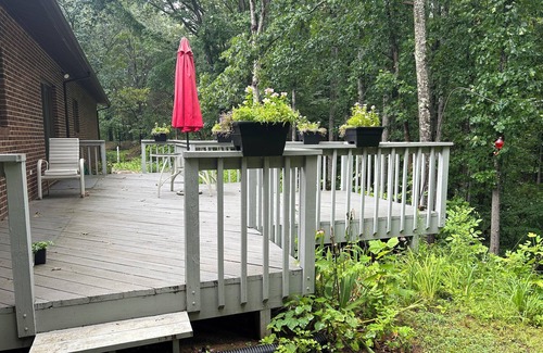 Buchanan Apartment | Forest Retreat Private Studio. Full kitchen and bathroom, queen bed, sleep sofa.