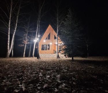 Savnik House | Forest Rhapsody Brezna