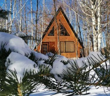 Savnik House | Forest Rhapsody Brezna
