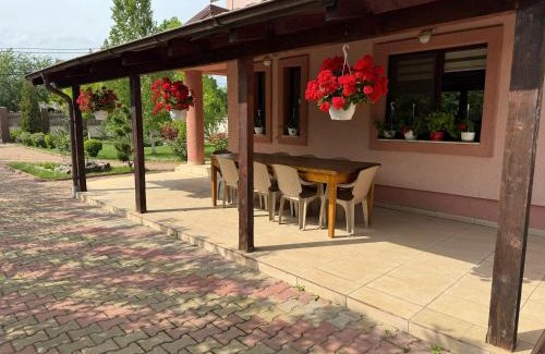 Costesti House | Forest Spătaru