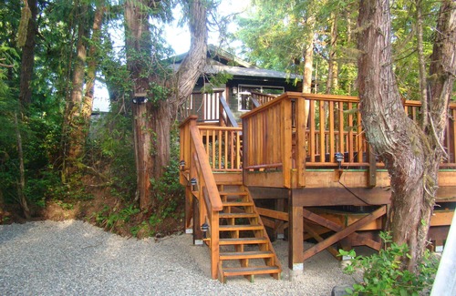 Tofino Cabin | Forest View Cabin located across from Cox Bay Beach