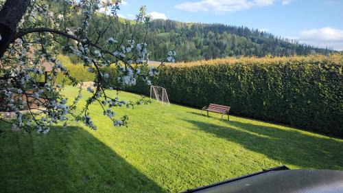 Gura Humorului House | Forest View Cottage