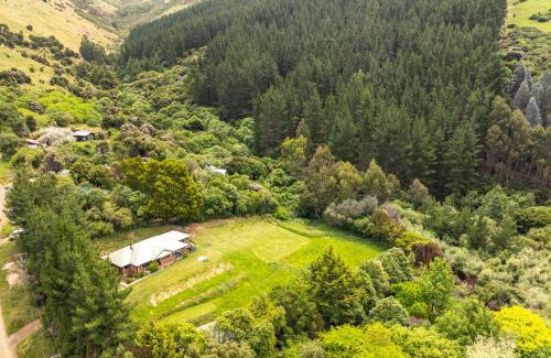 Little River House | Forest View - Spacious & private full home retreat