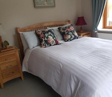 Derrybawn House | FOREST VIEW Woodland lodge