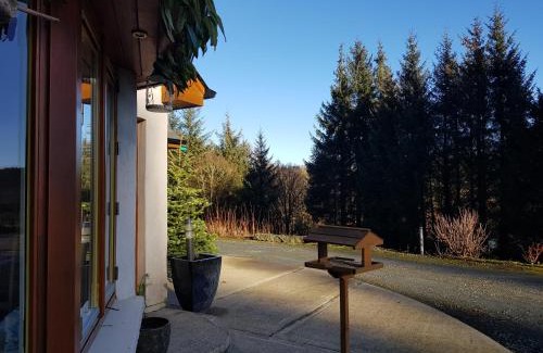 Derrybawn House | FOREST VIEW Woodland lodge