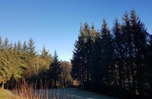 Derrybawn House | FOREST VIEW Woodland lodge