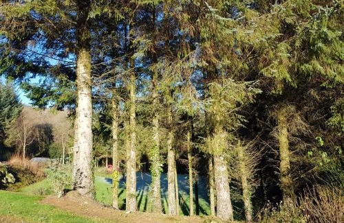 Derrybawn House | FOREST VIEW Woodland lodge