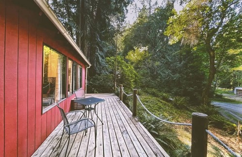 Port Angeles Cabin | Forested Cottage in the Woods, near Olympic Park