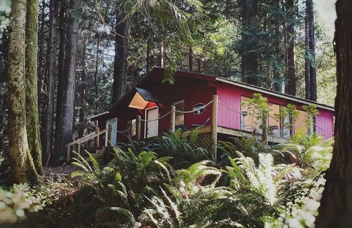 Port Angeles Cabin | Forested Cottage in the Woods, near Olympic Park