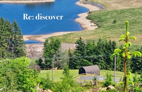 Ponterwyd Other | Forester's Retreat Glamping - Dinas View - Vaccinated dogs over the age of 2 are accepted