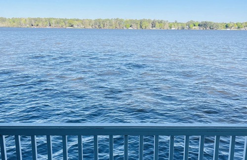 Cobb House | “Forever Young” Lake Blackshear Main Lake Amazing Views