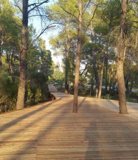 Divjake House | Fori Vodo
