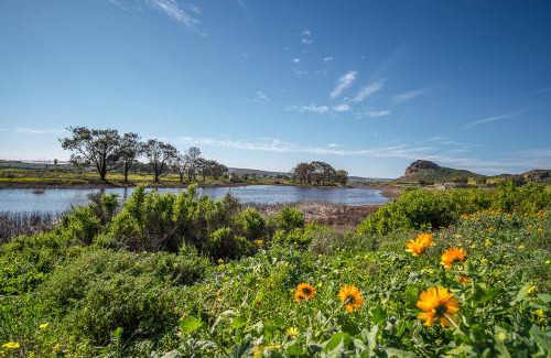 Elands Bay Apartment | Fork West Holiday Apartments
