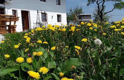 Buchenberg House | Former. Mountain farm on a sunny southern slope with a beautiful mountain view, secluded location
