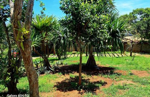 Brava House | Forno Beach House