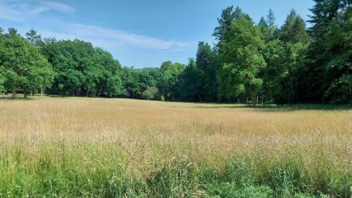 Losheim am See Apartment | Forsthaus Hausbach - Ferienwohnung Hirsch