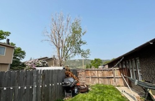 Fort Collins Apartment | Fort Collins Charm - 2 bd, 1 bth, 1st fl, with fenced yard, and private parking