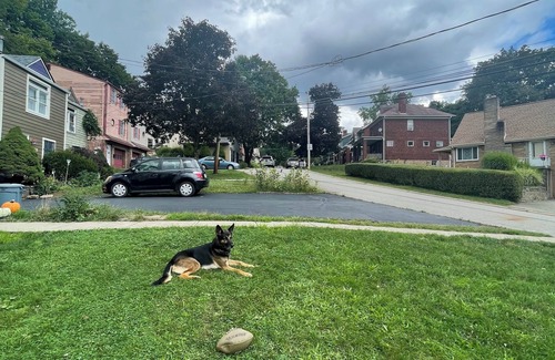 Brighton Heights House | Fort Pittsburgh