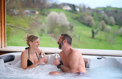 Sankt Margarethen an der Raab Apartment | "Fortuna" in the wellness oasis on the Trausdorfberg with sauna/whirlpool