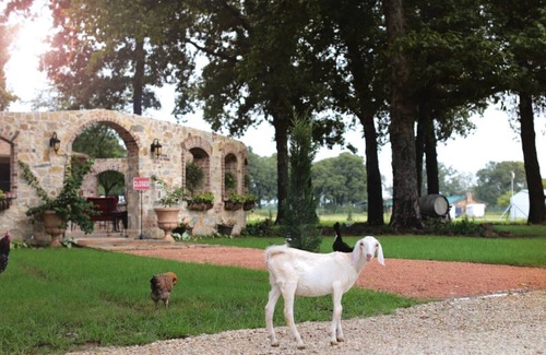 Lincoln Park Villa | Fortunata Winery Villa #1 Cozy & Charming Getaway