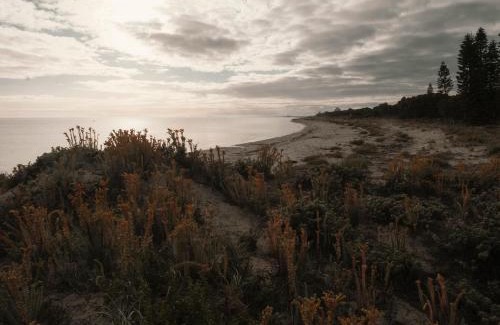 Broadwater House | FortyOne - Oceanside Retreat Busselton