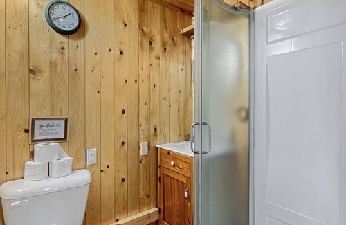 Carlow/Mayo Cabin | Fosters Lake Rustic Cabin w Volleyball Court