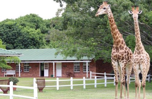 Wartburg Apartment | Fountainhill Estate Accommodation