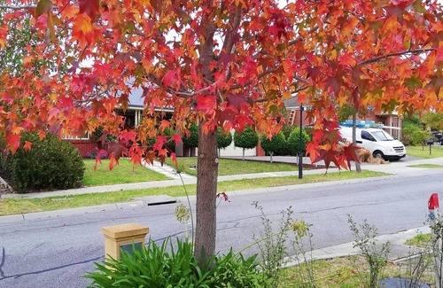 Pakenham House | Four bedroom house close to Pakenham Lake