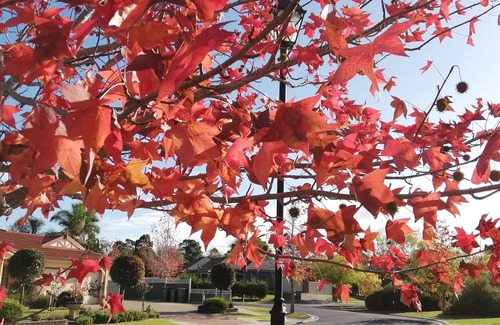 Pakenham House | Four bedroom house close to Pakenham Lake