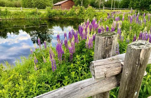 Chelmsford Resort | FOUR Nature Resort