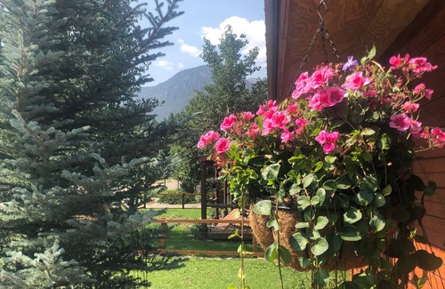 Lake City Cabin | Four Seasons of Fun at this Cozy Cabin in Charming, Family-friendly Lake City
