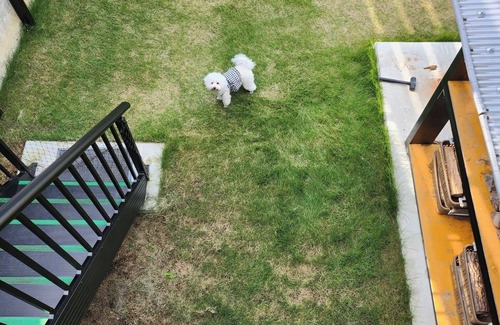 Shikokuchuo RV Rental | Four small and mediumsized dogs Trailer house /Shikokuchuo City Ehime