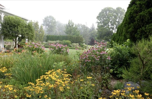Glenwood Bed & Breakfast | Fox & Bear Lodge