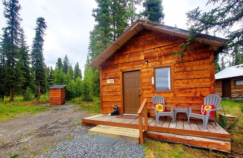 Slana Cabin | Fox's Den Cozy National Park Stay with Lake Access, Boats, Pets OK