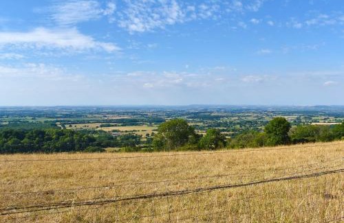 Ibberton House | Foxglove