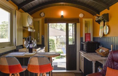 Ibberton House | Foxglove