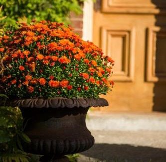 Mulmur Bed & Breakfast | Foxingham Farm Bed & Breakfast
