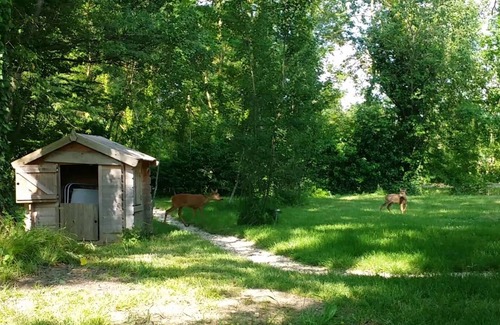 Droyes Other | At la Bonne Franquette: farm and unusual gites near Lac du Der